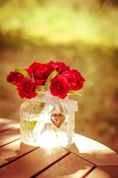 植木鉢の赤いバラ — ストック写真