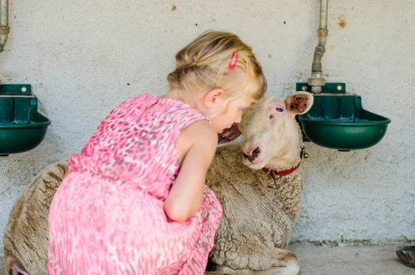 Koyun ile kız — Stok fotoğraf