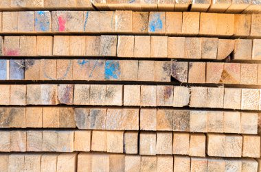 desen ahşap paneller