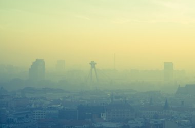 puslu Bratislava için Gösterim