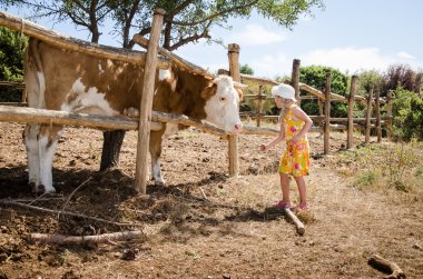 bir inek besleme çocuk