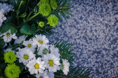 Daisy çelenk mezarı üzerinde