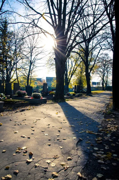 Weg auf Friedhof — Stockfoto