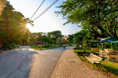 Lumpini park Bangkok parçası