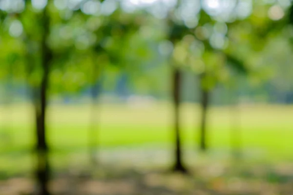 yeşil arka plan bulanıklık