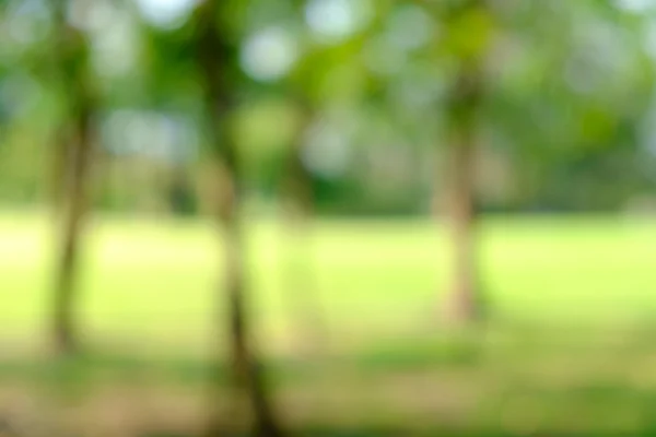 yeşil arka plan bulanıklık