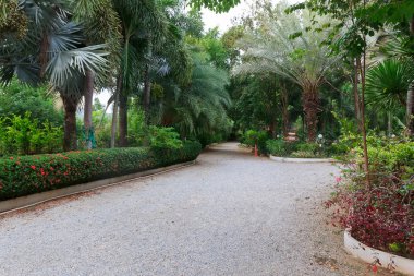 Kanchanaburi Tayland - 7 Aralık 2015: Adrin bahçe Kanchanaburi Hıristiyan grup için kamp.