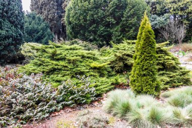 Crimea, Bolshaya Yalta, Nikitsky Botanical Garden April 2021