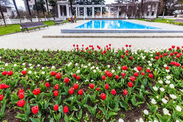 Crimea Bolshaya Yalta Nikitsky Botanical Garden April 2021 — Fotografia de Stock