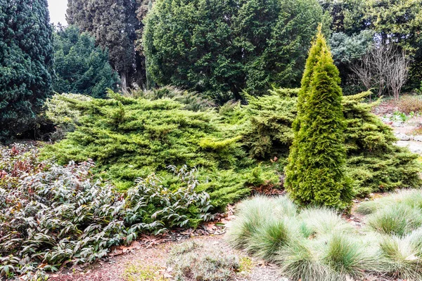 Crimea Bolshaya Yalta Nikitsky Botanical Garden April 2021 — Foto de Stock