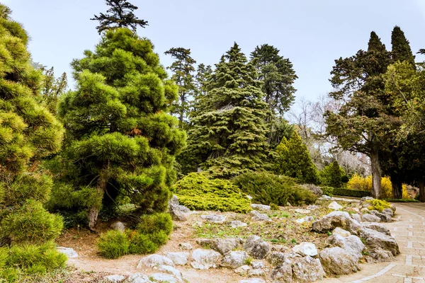 Crimea Bolshaya Yalta Nikitsky Botanical Garden April 2021 — 图库照片