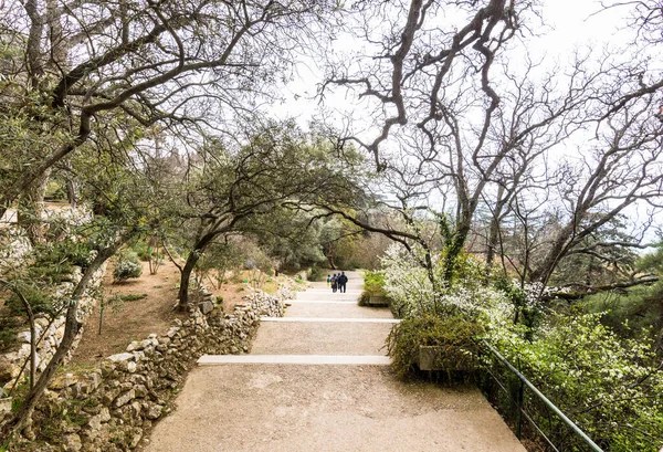 Crimea Bolshaya Yalta Nikitsky Botanical Garden April 2021 – stockfoto