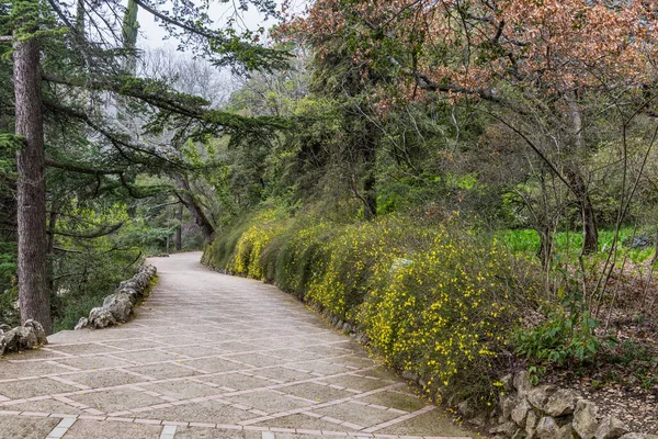 Crimea Bolshaya Yalta Nikitsky Botanical Garden April 2021 — Stock Photo, Image