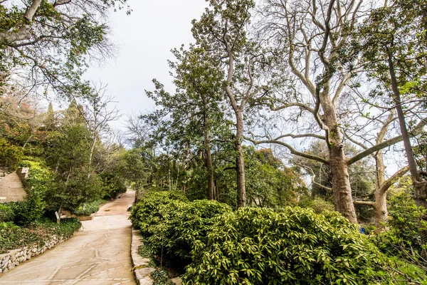 Crimea Bolshaya Yalta Nikitsky Botanical Garden April 2021 — Stock Photo, Image