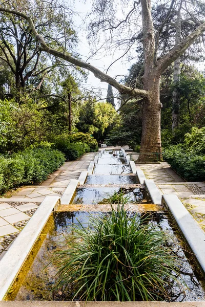 Crimea Bolshaya Yalta Nikitsky Botanical Garden April 2021 — ストック写真