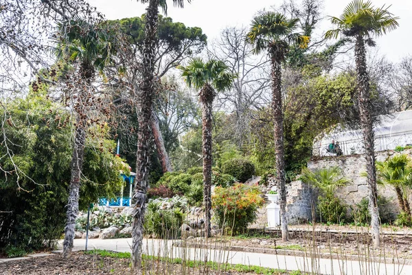 Crimea Bolshaya Yalta Nikitsky Botanical Garden April 2021 — Stock Photo, Image