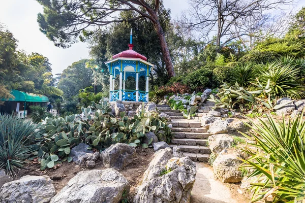 Crimea Bolshaya Yalta Nikitsky Botanical Garden April 2021 — Stock Photo, Image