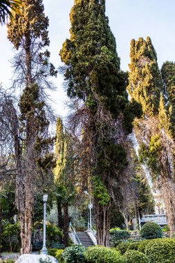 Crimea, greater Yalta, Mishor, Koreiz, health resort Dulber, April 2021