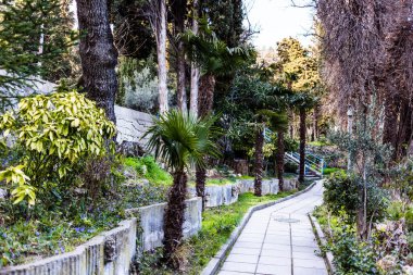 Crimea, greater Yalta, Mishor, Koreiz, health resort Dulber, April 2021