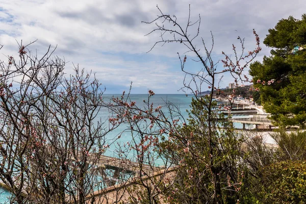 Crimea Greater Yalta Mishor Koreiz Health Resort Dulber April 2021 — Foto de Stock