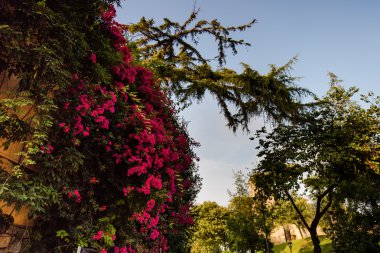 Katalonya, barcelona