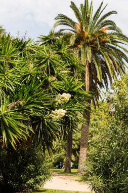 Barcelona, İspanya Eylül ayında