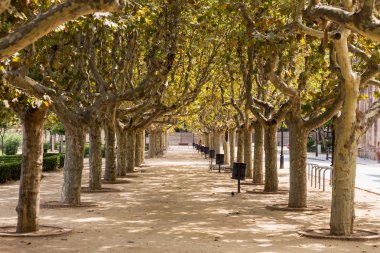 Barcelona, İspanya Eylül ayında