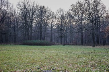 Rusya, Moskova, VDKNh, Botanik Bahçesi