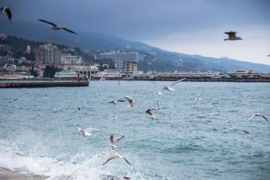 Kırım'da, Yalta