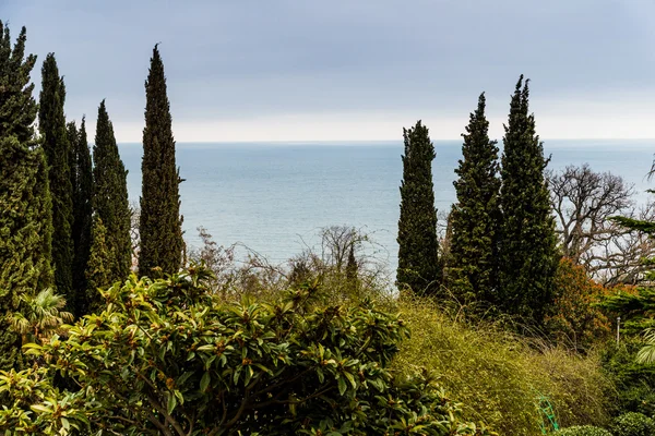 Crimeia, Livadia — Fotografia de Stock