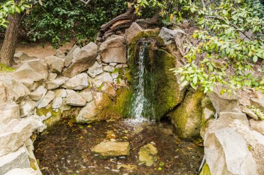 Kırım'da, Mart ayında Alupka