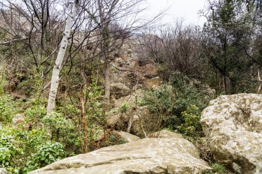 Kırım'da, Mart ayında Alupka