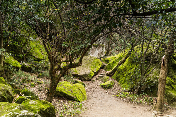 Crimea, Alupka in March