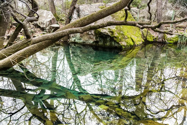 Krym, Alupka v březnu — Stock fotografie