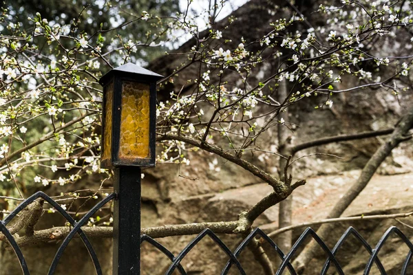 La Crimea, Alupka en marzo — Foto de Stock