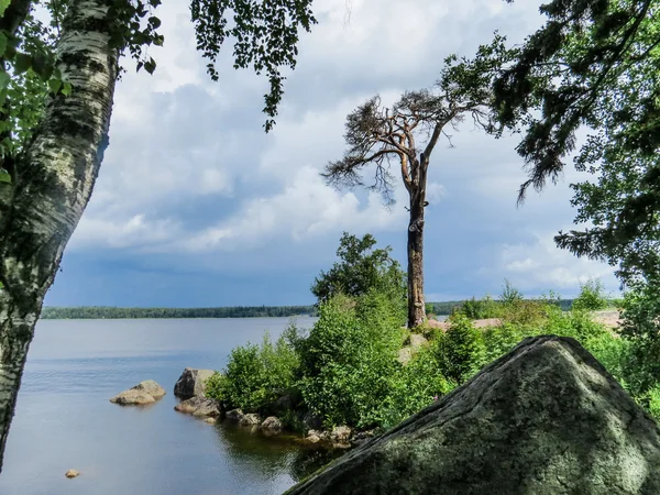 Mon Repos Park, Vyborg