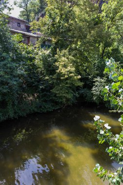 Rupit ben Pruit, Ağustos 2015