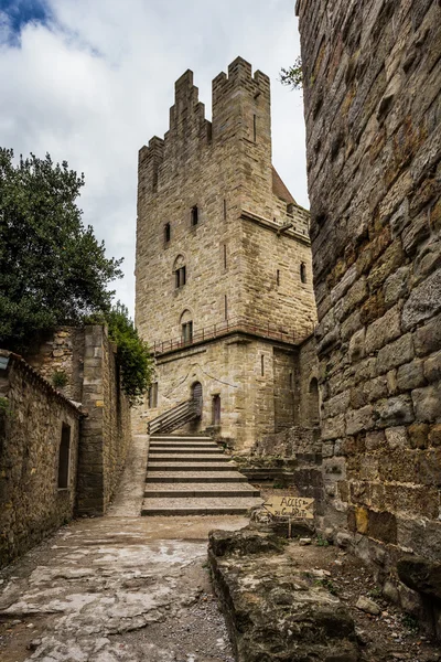 Carcassonne, region midi-pyrenäen 2015 — Stockfoto