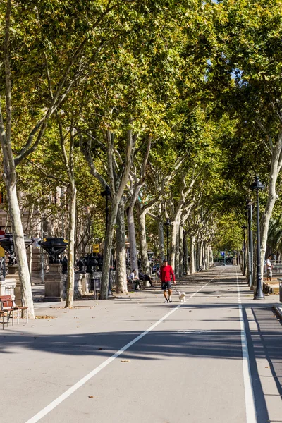 スペイン、カタルーニャ、バルセロナ、2015 年 8 月. — ストック写真