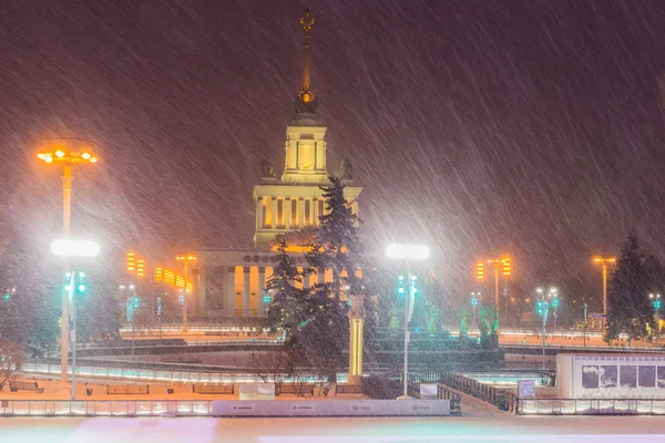 Rusia, Moscú, exposición de los logros de la economía nacional (VDNH), enero, nuevo 2016 — Foto de Stock