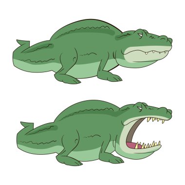 Crocodile, alligator vector illustration vector Crocodile, alligator vector illustration vector
