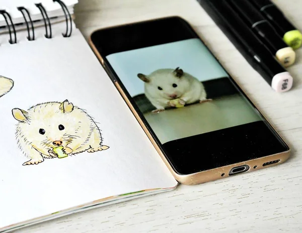 Beyaz hamsterın resmini çizmenin sonucu.