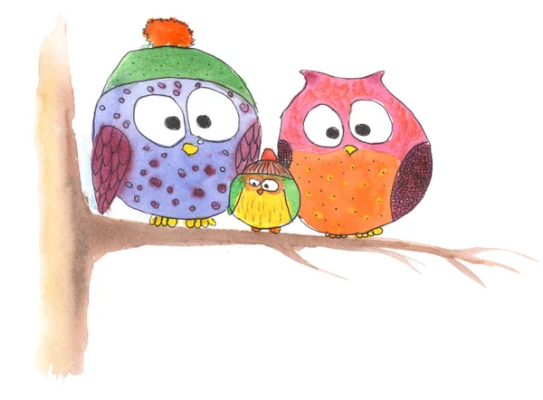 baykuş aile ağacında basit çizim üzerinde