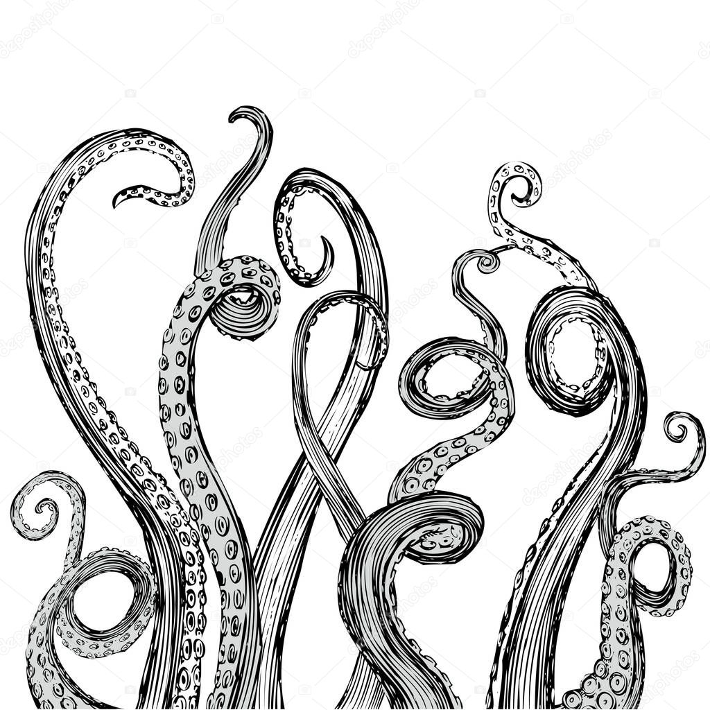 Hand Drawn Vector Tentacles in a rough wood cut style (each tentacle is a separate illustration and can be rearranged or coloured as desired).