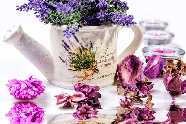 Lavender in watering can — Stock Photo, Image