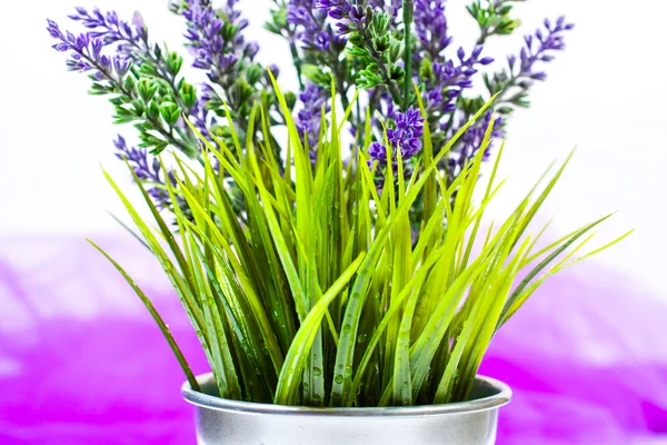 Lavender bucket — Stock Photo, Image