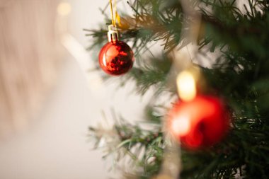 Yeşil dalda kırmızı yuvarlak Noel ağacı süsü ve arka planda tel lambaları var. Kış tatili tebrik kartı. Noel ağacı süslenmiş, yakın plan.