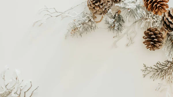 Inverno Natale Capodanno Sullo Sfondo Con Spazio Copia Rami Innevati — Foto Stock