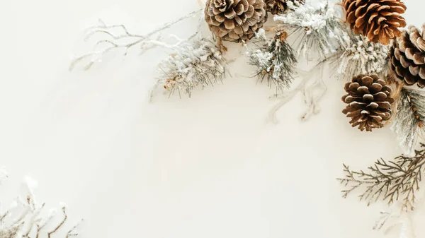 Inverno Natale Capodanno Sullo Sfondo Con Spazio Copia Rami Innevati — Foto Stock