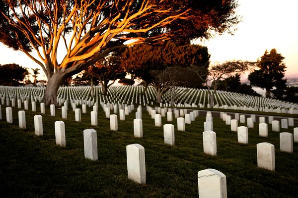 Kriegsfriedhof Mit Reihen Weißer Marmorgräber Auf Grünem Gras Bei Sonnenuntergang — Stockfoto